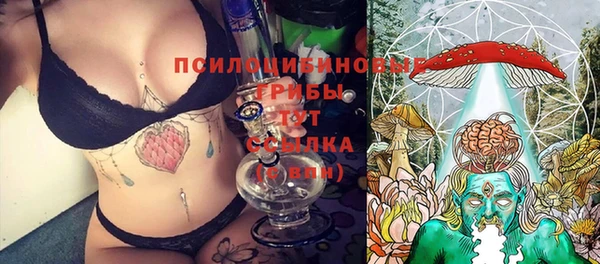 прущий лед Алексин
